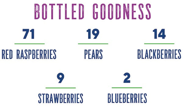 Four Berry Concentrate by Dr. Smoothie