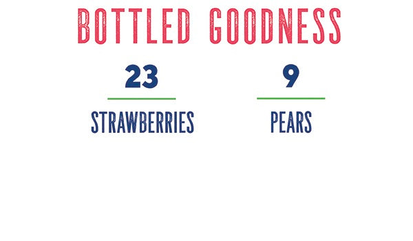 Strawberry Concentrate by Dr. Smoothie