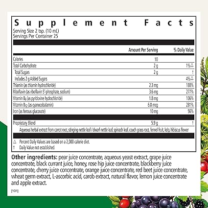 Floradix Liquid Iron + Herbs by Salus