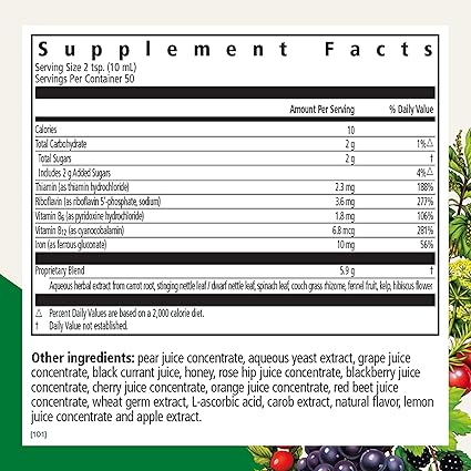 Floradix Liquid Iron + Herbs by Salus