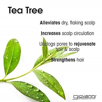 Triple Treat Invigorating Tea Tree Shampoo by Giovanni