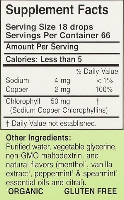 ChlorOxygen Liquid Alcohol Free Mint Flavor by Herbs Etc