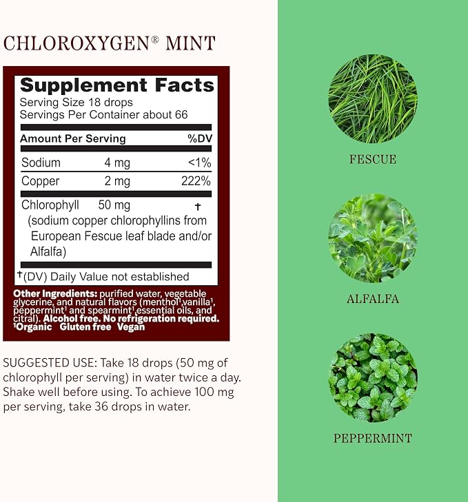 ChlorOxygen Liquid Alcohol Free Mint Flavor by Herbs Etc