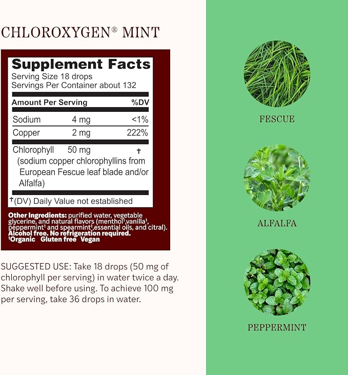 ChlorOxygen Liquid Alcohol Free Mint Flavor by Herbs Etc