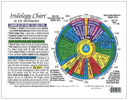 Iridology Chart by Inner Light