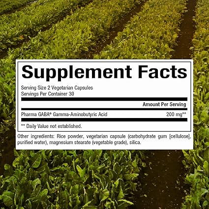 GABA 100mg Capsules by Natural Factors