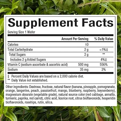 Vitamin C 500mg Mixed Fruit Chewable Tablets by Natural Factors