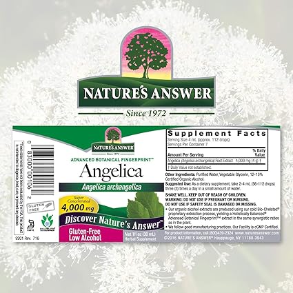 Angelica Root Liquid Extract by Nature's Answer