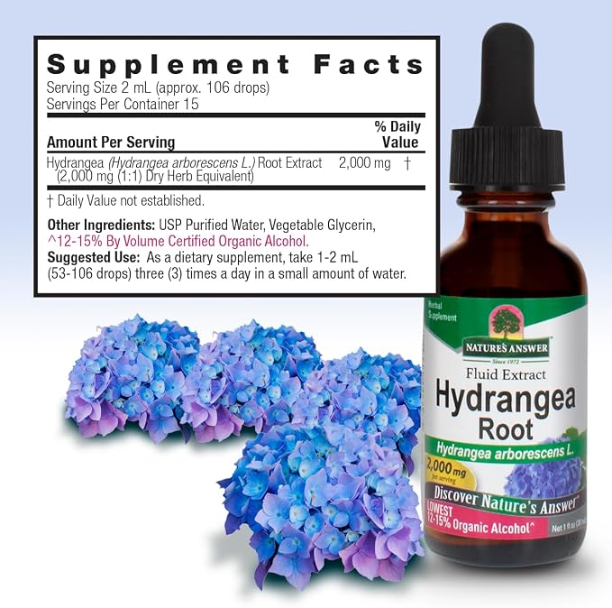 Hydrangea Root Extract by Nature's Answer