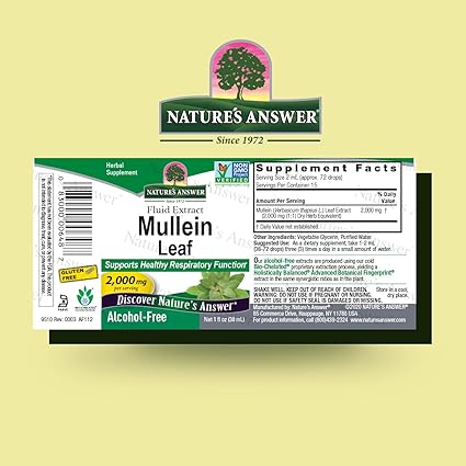 Mullein Alcohol Free Extract by Nature's Answer