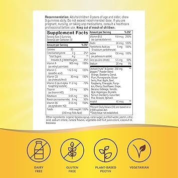 Alive Adult Gummy Multivitamin by Nature's Way