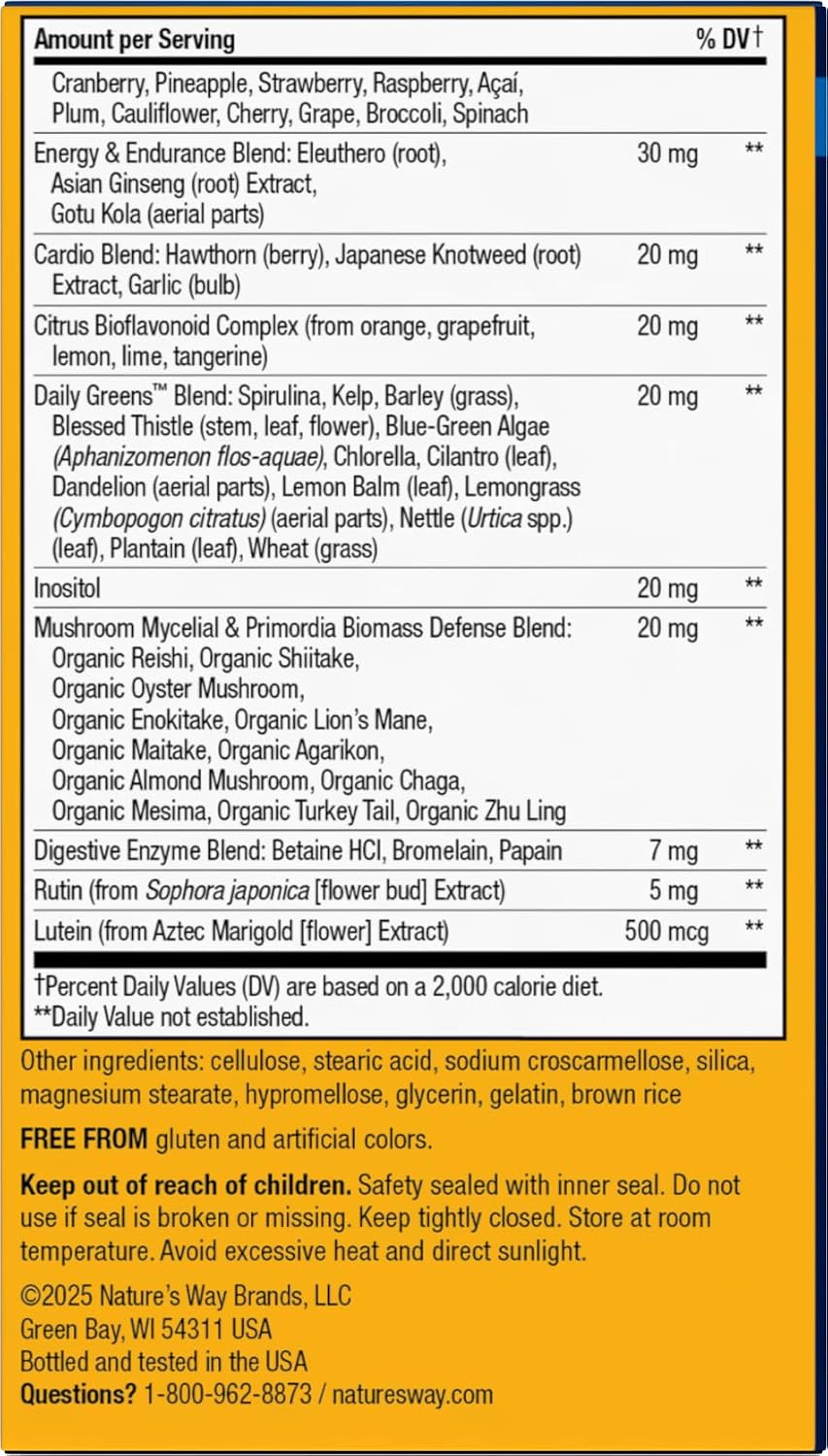 Alive One Daily Ultra Men's Multivitamin Tablets by Nature's Way