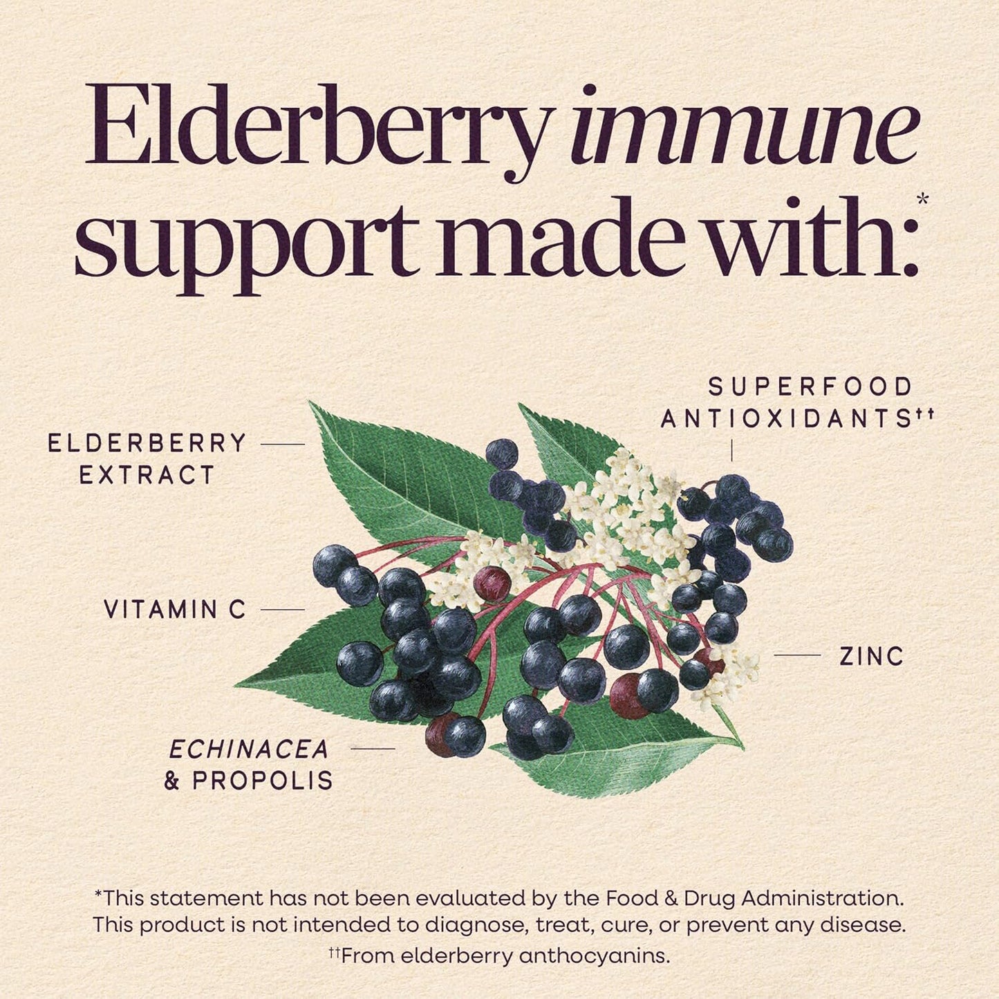 Sambucus Elderberry Immune Syrup 4oz by Nature's Way
