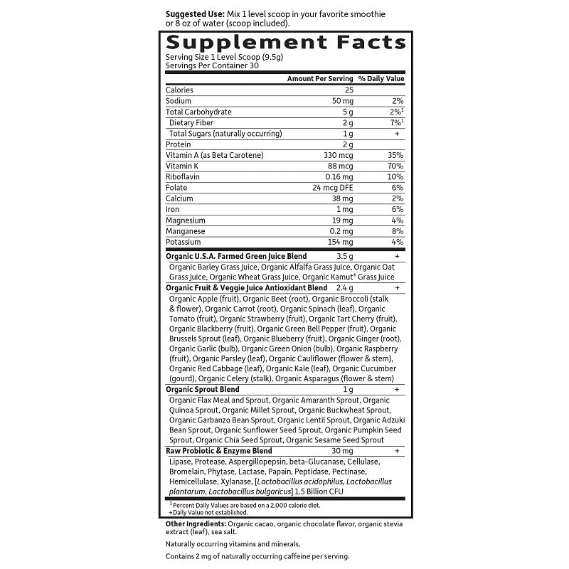 Perfect Food Green Superfood Chocolate Powder by Garden of Life