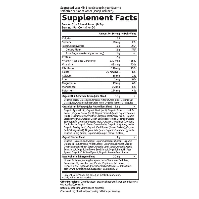 Perfect Food Green Superfood Chocolate Powder by Garden of Life