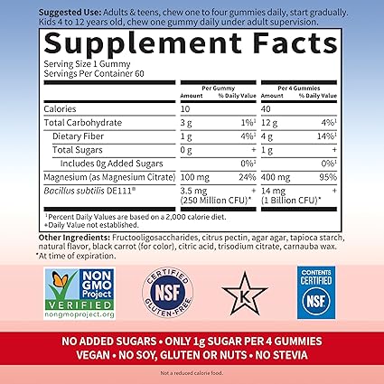 Magnesium Gummies Raspberry by Garden of Life