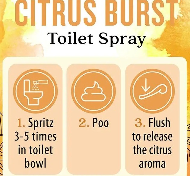 Toilet Spray Citrus Burst by Aura Cacia