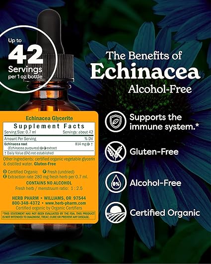 Alcohol Free Echinacea Extract by Herb Pharm