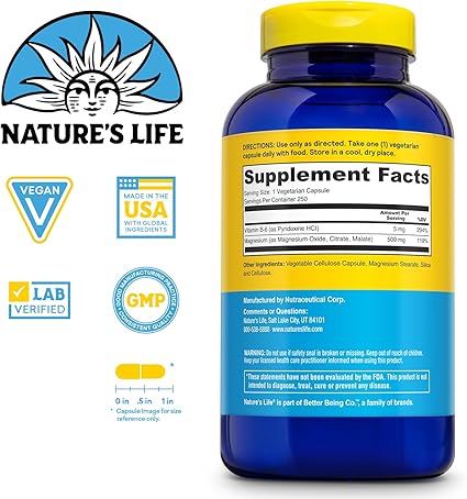 Renewing Magnesium 500mg Capsules by Nature's Life