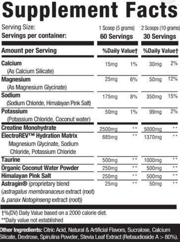 Creatine + Hydration Powder Blueberry Lemonade by Musclesport