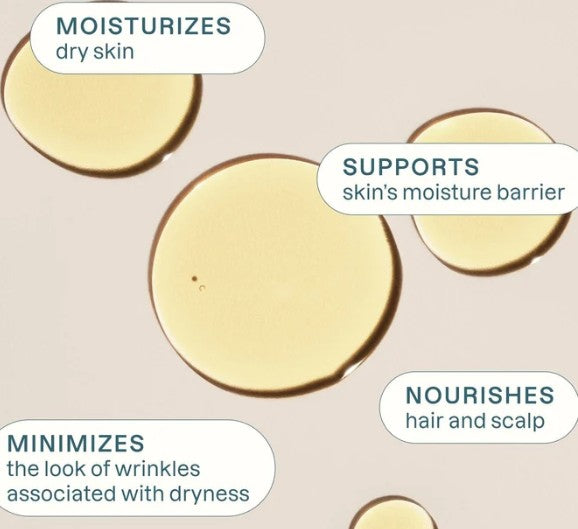 Organic Sunflower Oil by Cliganic