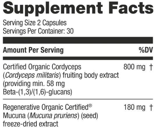 Cordyceps Mushroom Capsules by Kokora