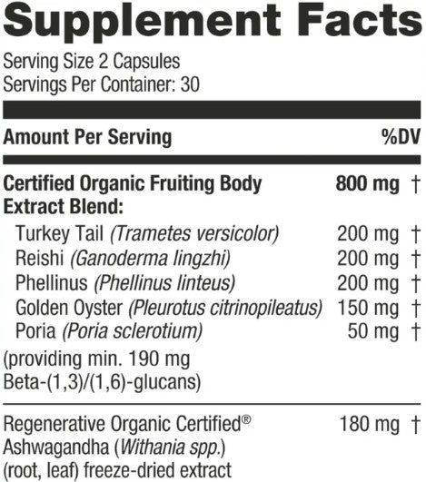 5 Mushroom Wellness Blend Capsules by Kokora