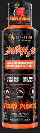 Burn20 Fiery Punch by Alpha Lion
