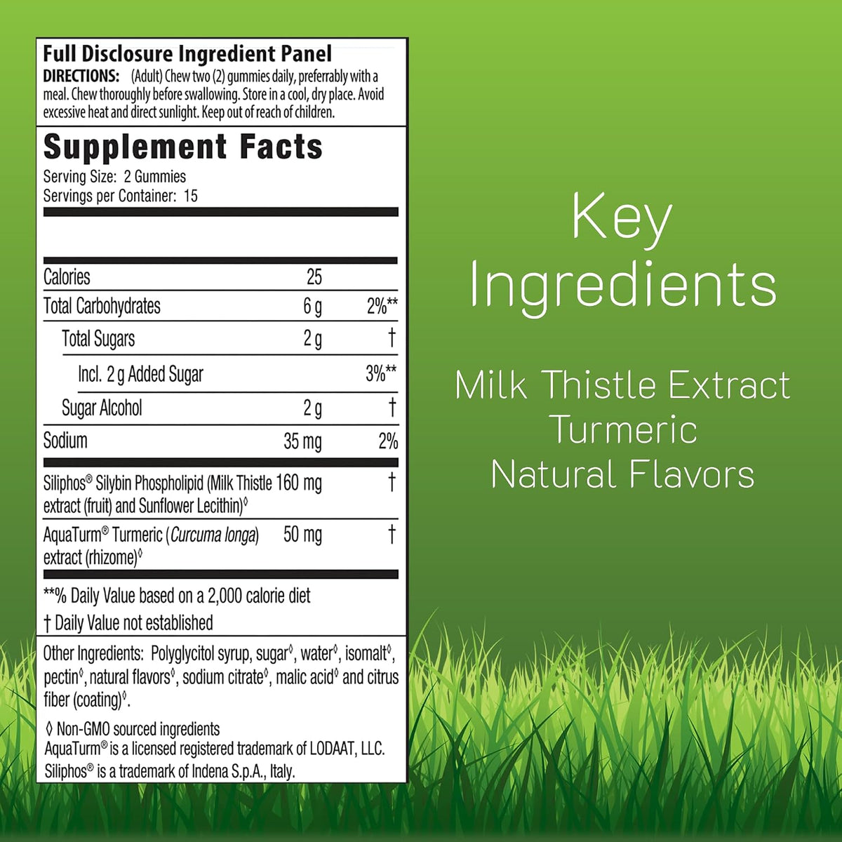 Milk Thistle Liver Detox Gummies by Irwin Naturals