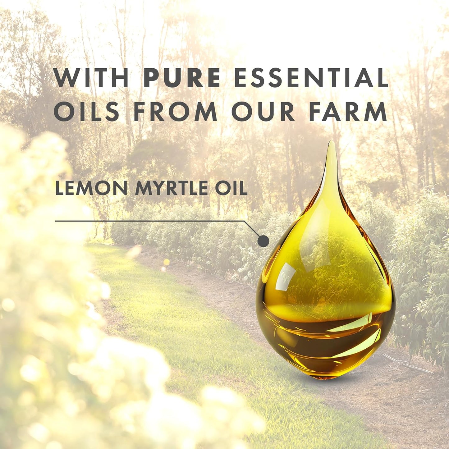 Lemon Myrtle Oil & Manuka Honey Bar Soap by Freshwater Farm