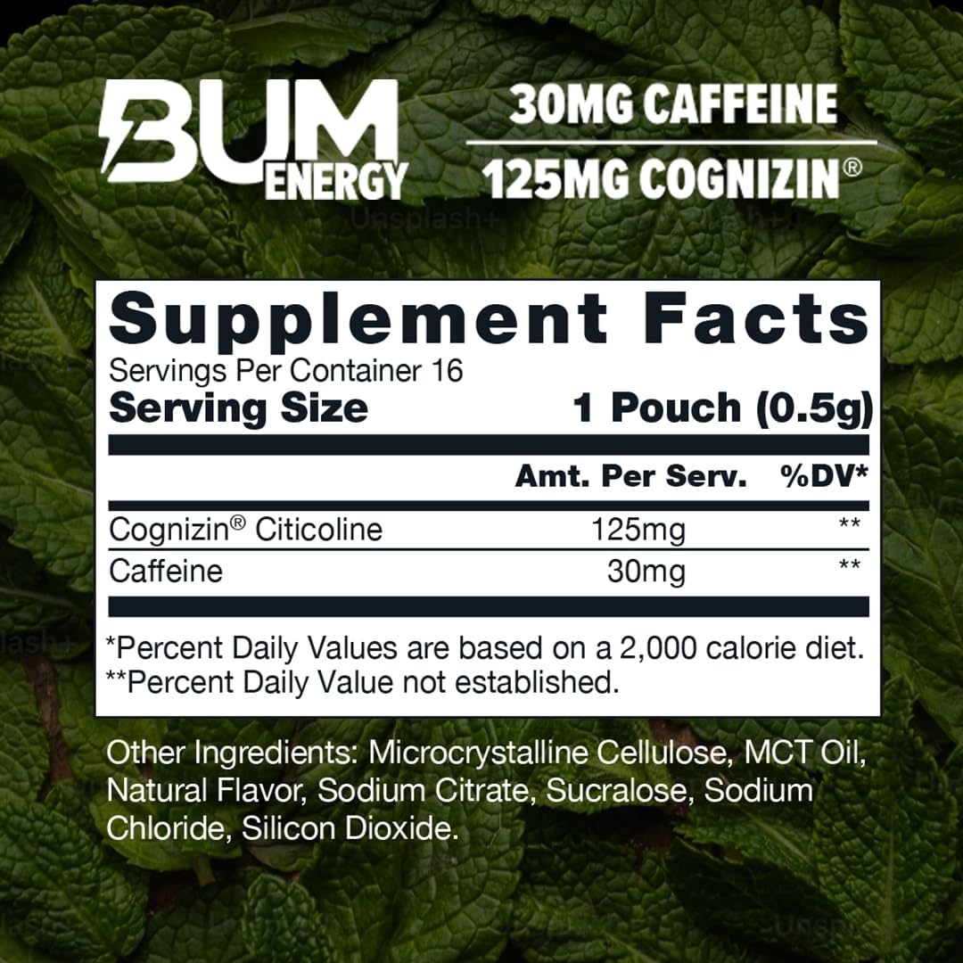 Bum Energy Pouches Wintergreen by Raw Nutrition