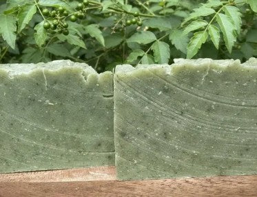 Jamaican Cerasee Bar Soap by Fiori Essential & Co