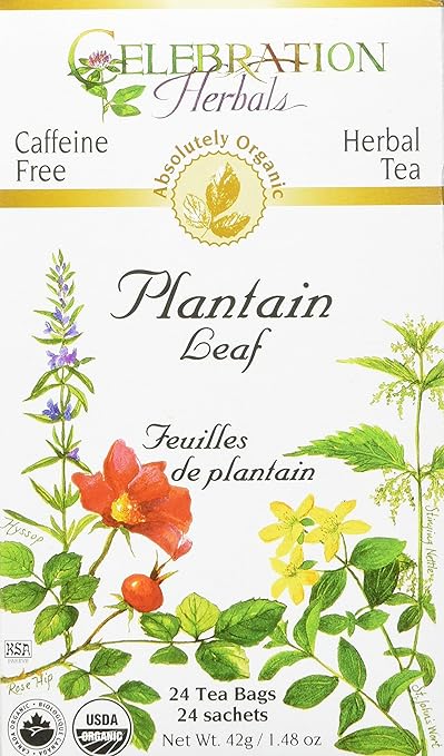 Plantain Leaf Organic Tea by Celebration Herbals