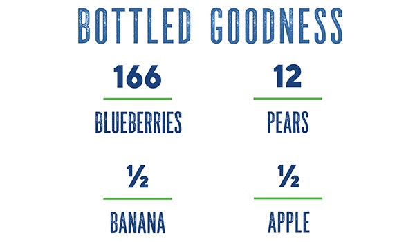 Blueberry Banana Concentrate by Dr. Smoothie