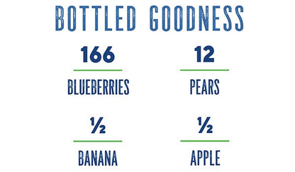 Blueberry Banana Concentrate by Dr. Smoothie