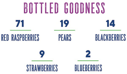 Four Berry Concentrate by Dr. Smoothie