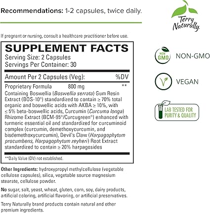 Arthocin Capsules by Terry Naturally