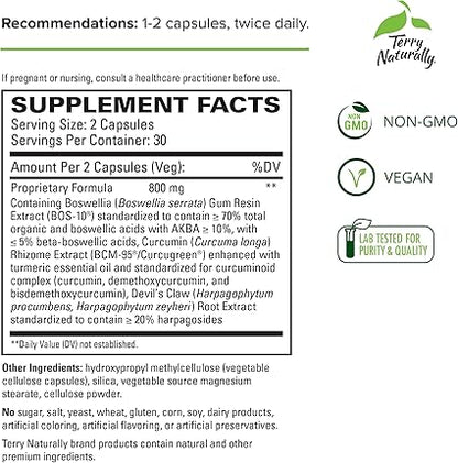 Arthocin Capsules by Terry Naturally