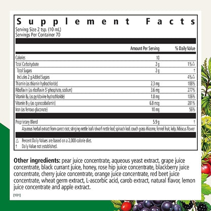 Floradix Liquid Iron + Herbs by Salus