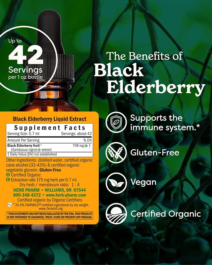 Black Elderberry Liquid Extract by Herb Pharm