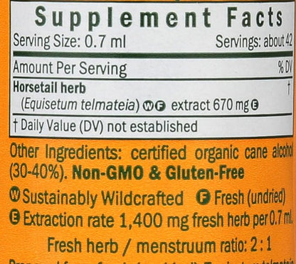 Horsetail Liquid Extract by Herb Pharm