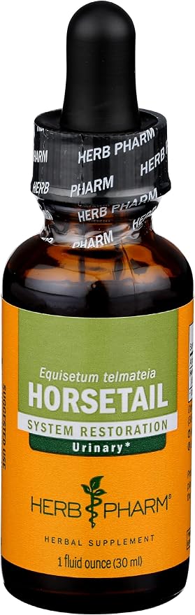 Horsetail Liquid Extract by Herb Pharm