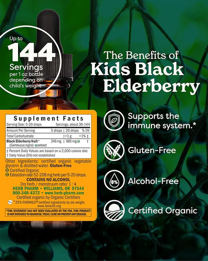 Black Elderberry Liquid Extract for Kids by Herb Pharm
