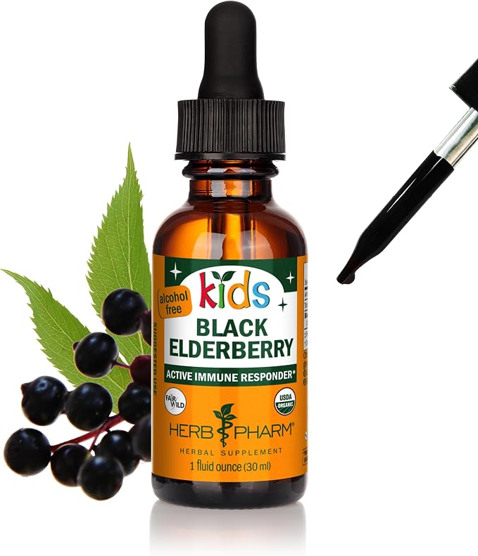 Black Elderberry Liquid Extract for Kids by Herb Pharm