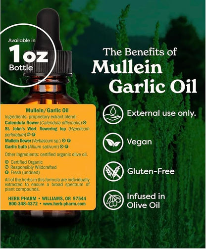Mullein Garlic Ear Oil by Herb Pharm