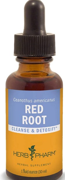 Red Root Liquid Extract by Herb Pharm