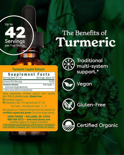 Turmeric Liquid Extract by Herb Pharm