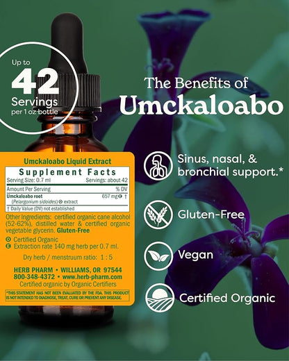 Umckaloabo Liquid Extract by Herb Pharm