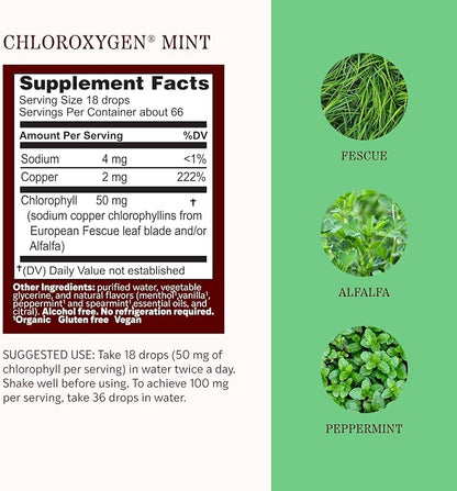 ChlorOxygen Liquid Alcohol Free Mint Flavor by Herbs Etc