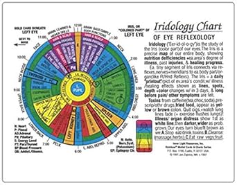 Iridology Chart by Inner Light